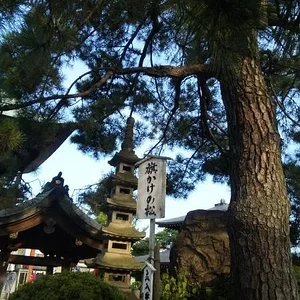 10 ﾅ?ﾃｸ窶堋ｩ窶堋ｯ窶堙個渉ｼ the pine tree where a 11th century warrior ﾅ陳ｹ窶版?窶ｹ` is believed to flank his war banner to pray for his victory.