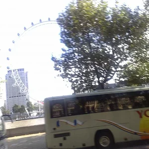 06102011448.jpg