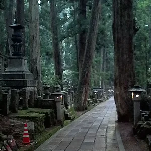 Cemetery and nature blend