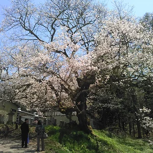Nagano Ogawa-mura
