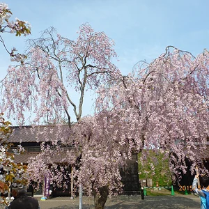 Hokkaido Goryōkaku