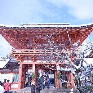 Kamigamo Shrine