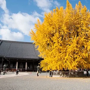 Honganji Temple