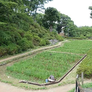 Odawara Castle