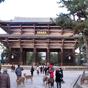 Todaiji Temple