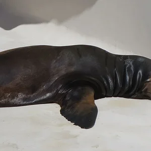 Oarai Aqua World