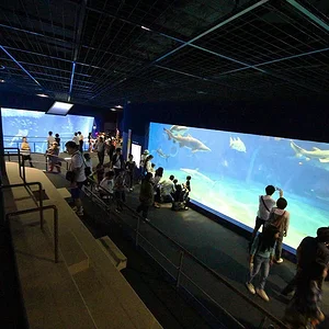 Oarai Aqua World