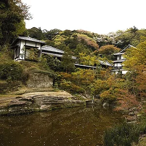 Myokochi