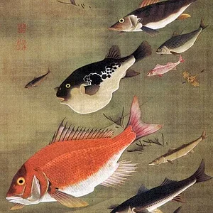 Sea bream