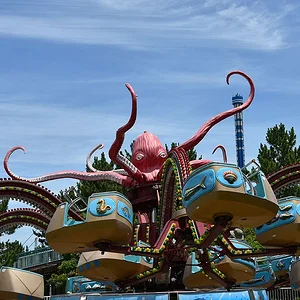 Octopus