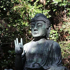 Dharma Chakra Buddha