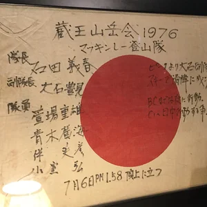 My McKinley Flag