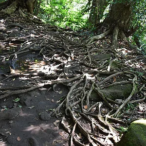 Mount Nokogiri
