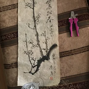 Artist?