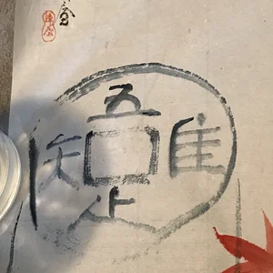 Looks like a coin.