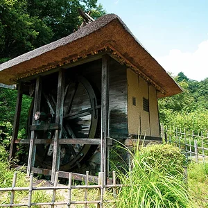 Nihon Minkaen