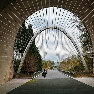 Miho Museum