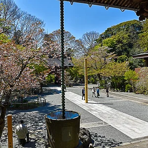 Myohonji Temple