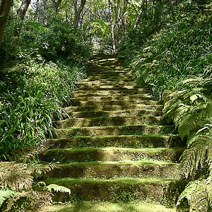 Myohoji Temple