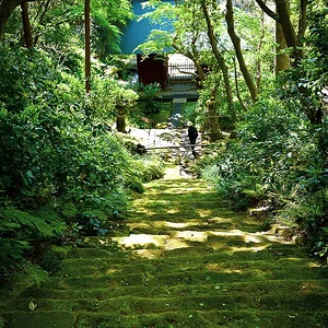 Myohoji Temple