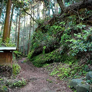 Kumano Shrine