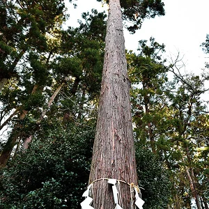 Kumano Shrine