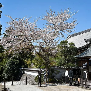 Engakuji