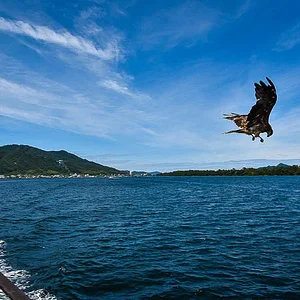 Amanohashidate