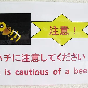 Cautious of a bee