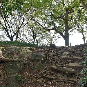 Ishigakiyama Ichiya Castle