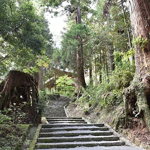 Daiyūzan Saijōji