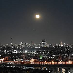 Tokyo Night Panorama