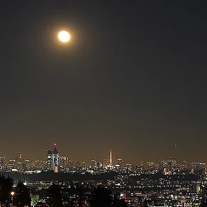 Tokyo Night Panorama