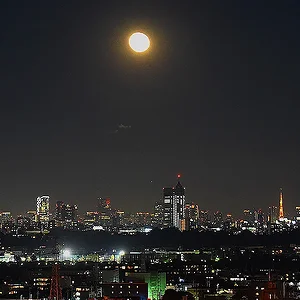 Tokyo Night Panorama