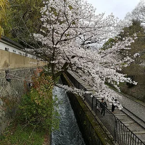 On the way to Nanzenji