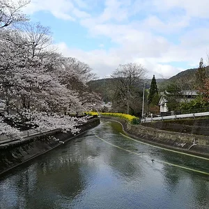 Yamashina