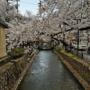 Yamashina