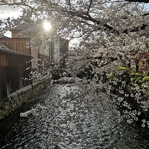Yamashina