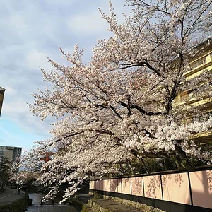 Yamashina