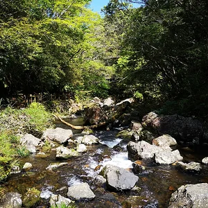 Materiya no taki