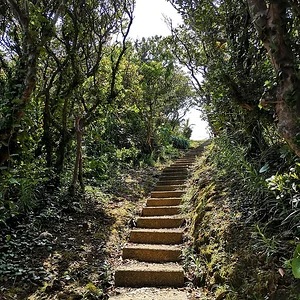 Cape Ayamaru