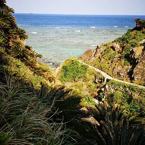 Kasarizaki