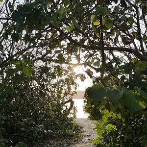 Sakibaru Beach
