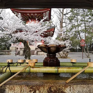Chion-in Temple
