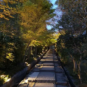 Entokuin
