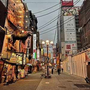 Osaka Walks