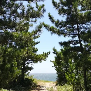 Awaji Island
