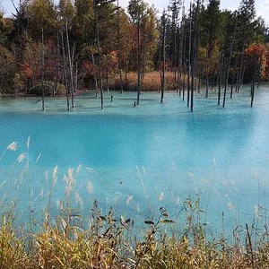 Blue Pond (Aoiike)