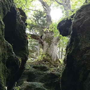 Nakatonbetsu