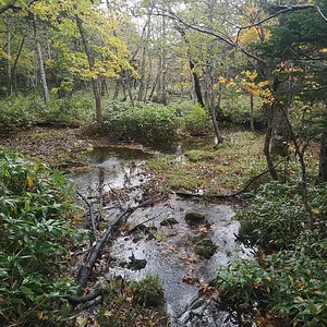 Shiretoko